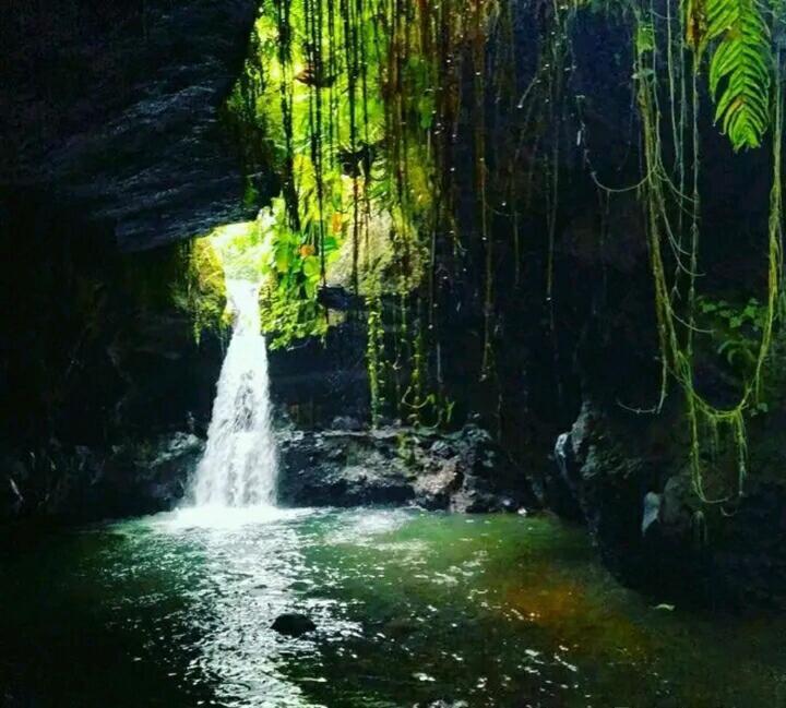 Asan Rinjani Homestay Tetebatu Exteriér fotografie