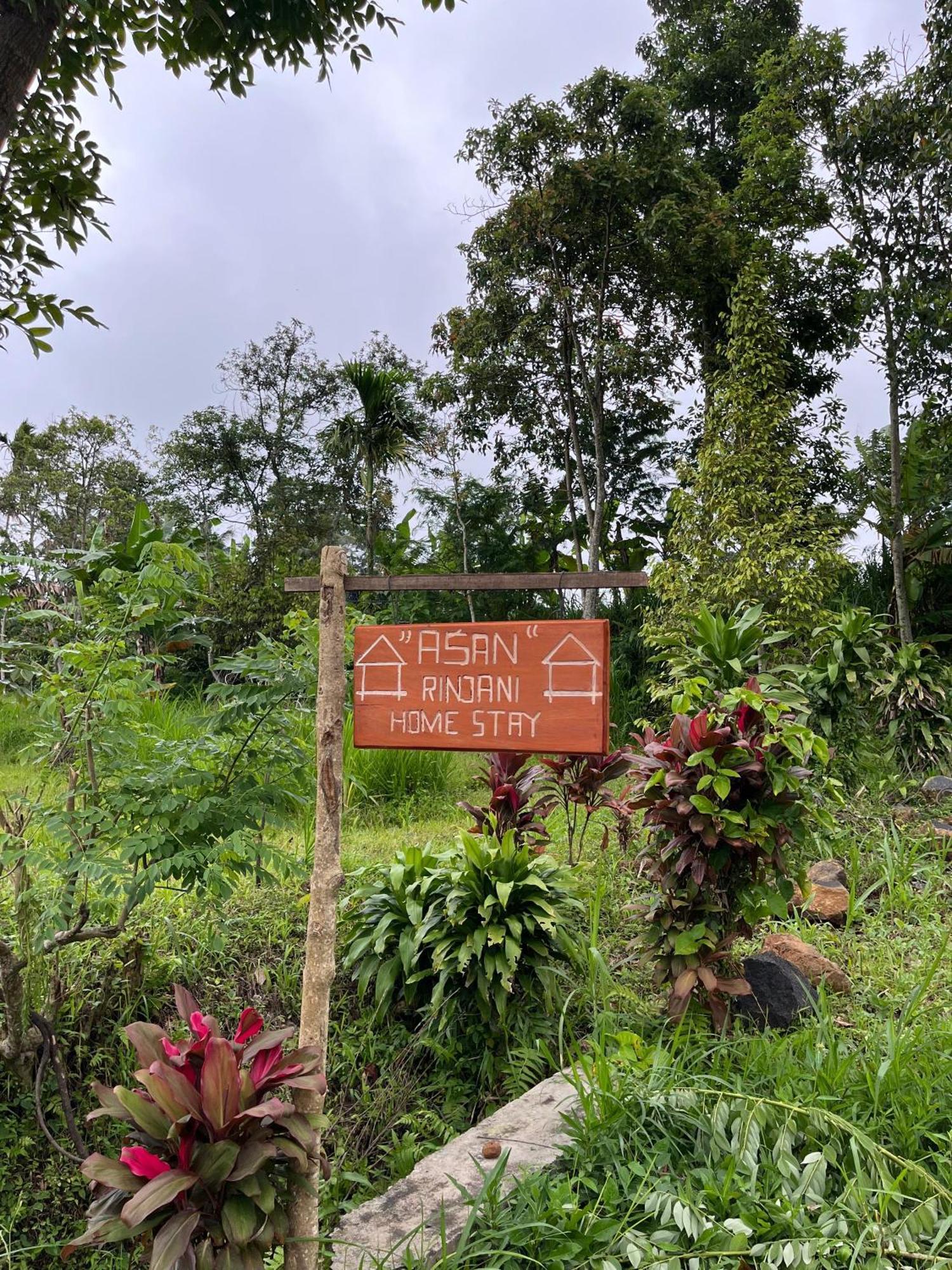 Asan Rinjani Homestay Tetebatu Exteriér fotografie