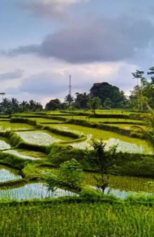 Asan Rinjani Homestay Tetebatu Exteriér fotografie