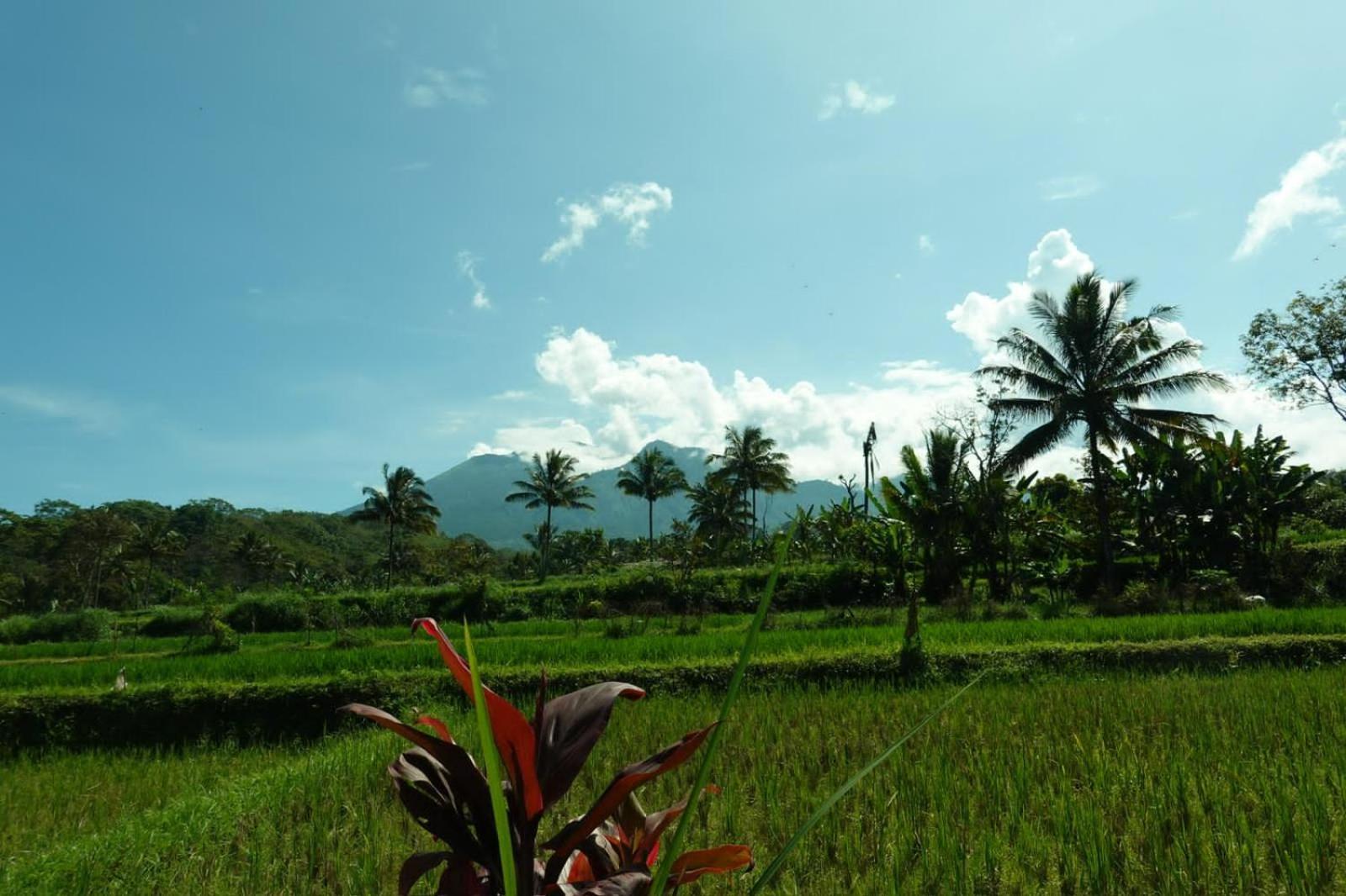 Asan Rinjani Homestay Tetebatu Exteriér fotografie
